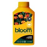 Bloom Final 10oz / 300ml