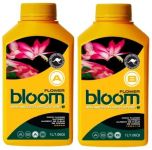 Bloom Flower A and B 15L