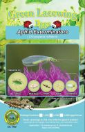 Green Lacewings Eggs 5k Carded
