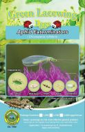 Green Lacewings Eggs 5k Carded (3 pack)